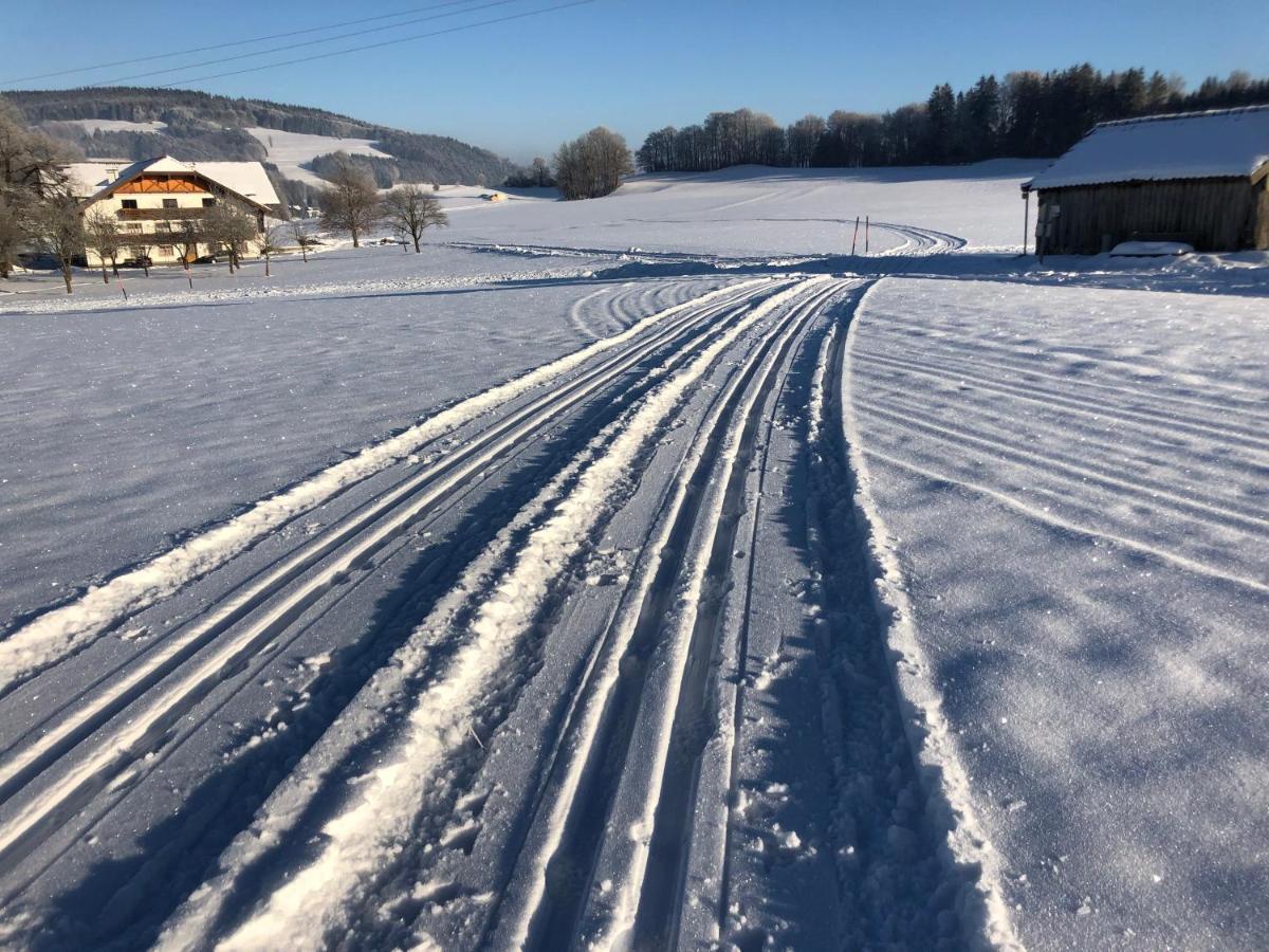 Biohof-Feichtinger Apartman Zell am Moos Kültér fotó