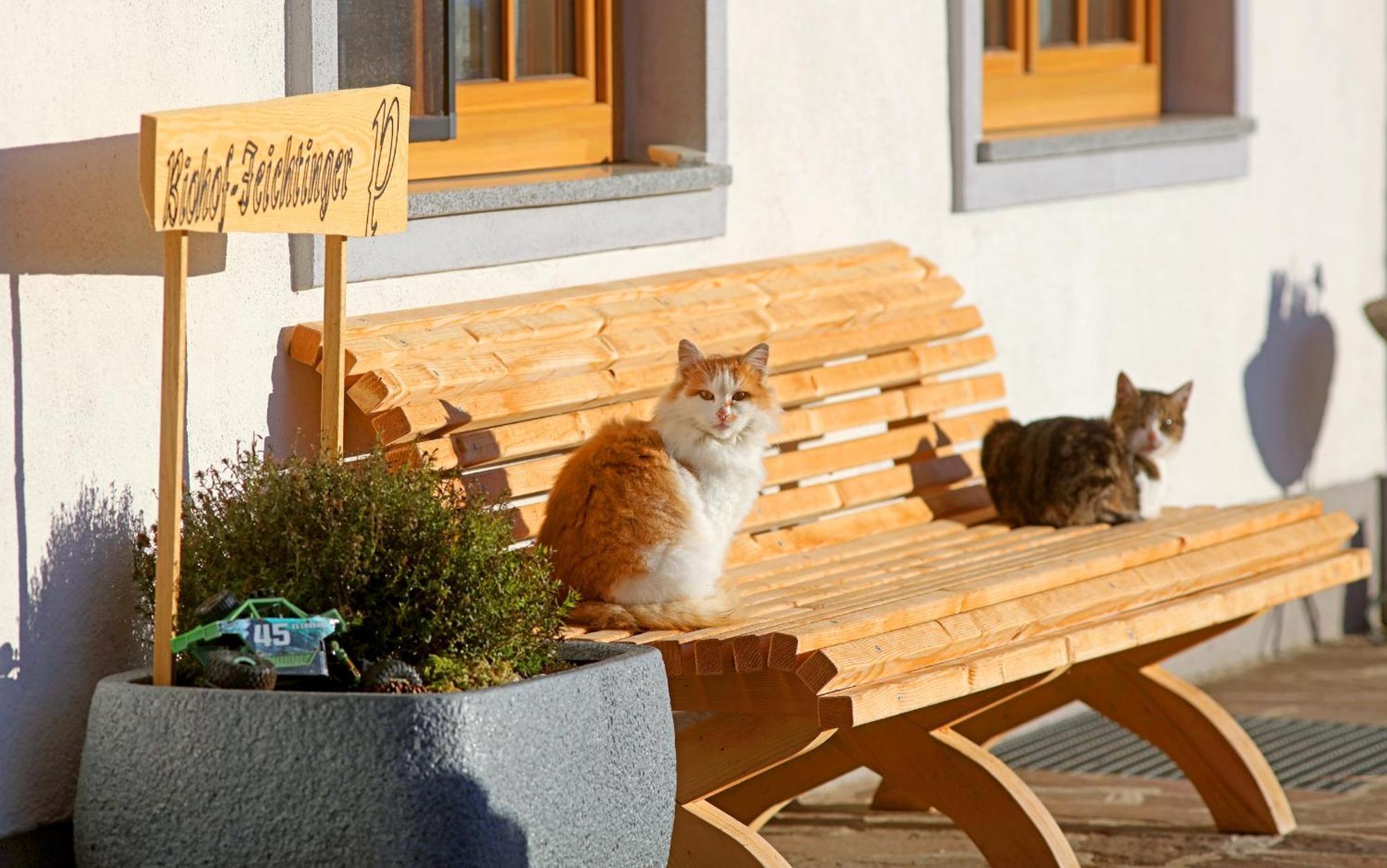 Biohof-Feichtinger Apartman Zell am Moos Kültér fotó