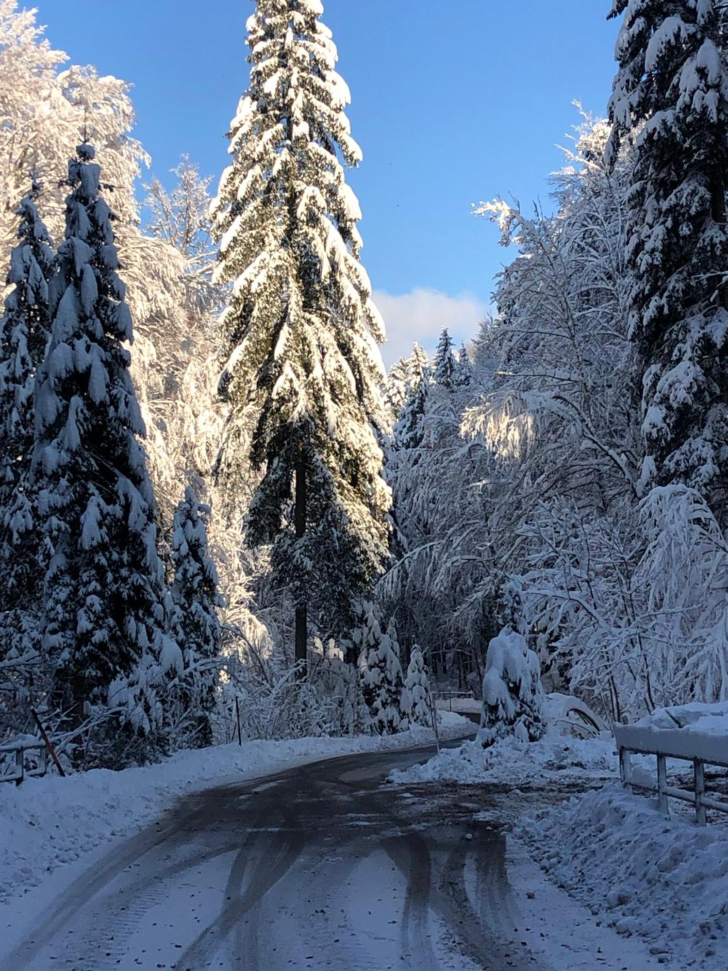 Biohof-Feichtinger Apartman Zell am Moos Kültér fotó
